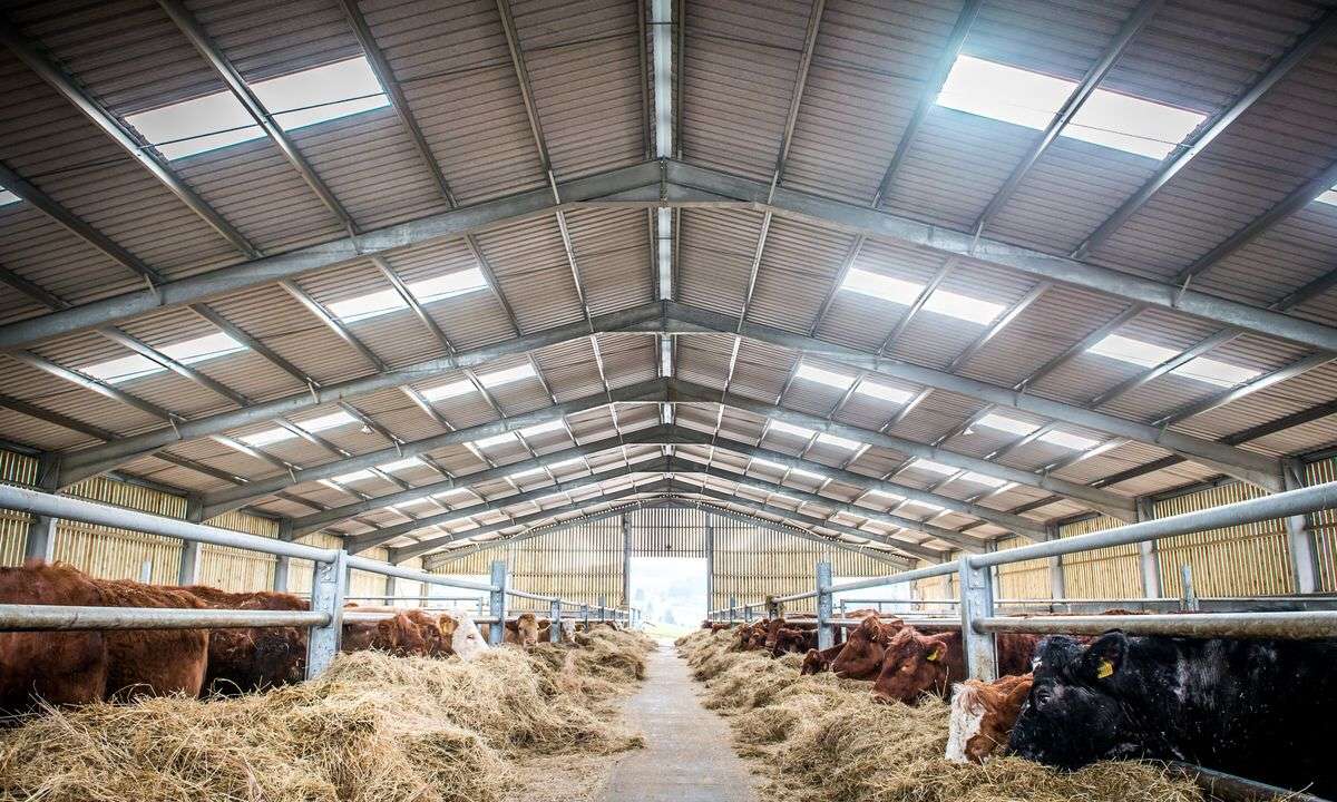Steel Structure Farmhouse - Professional Steel Structure Building Solution