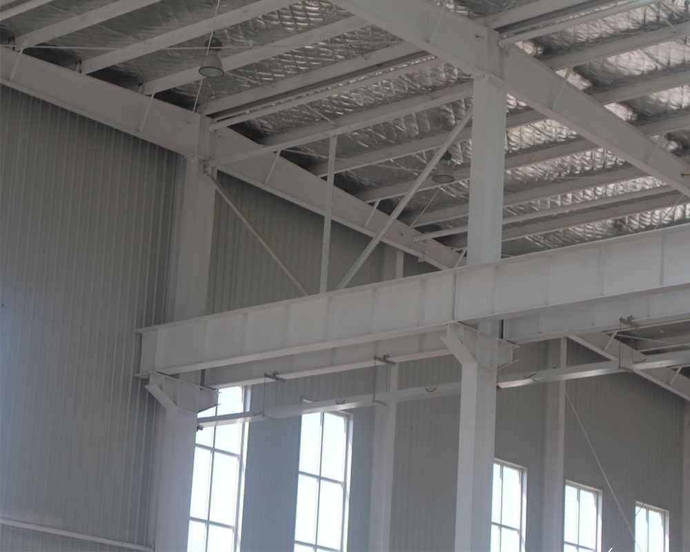 Henan 12,000m² Distribution Center - Steel structure project image 2